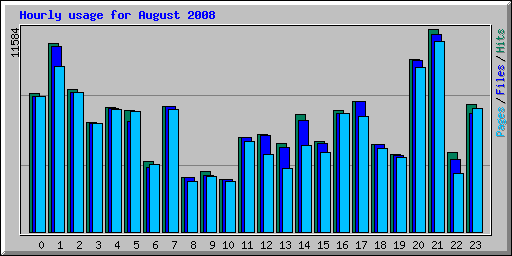 Hourly usage for August 2008